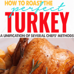 How to Roast the Perfect Turkey