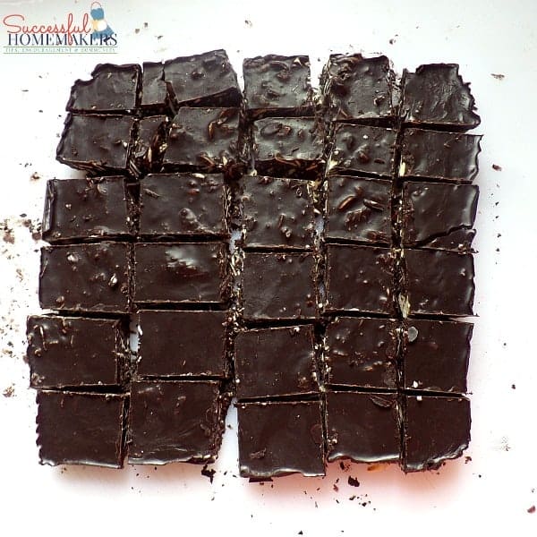 Skinny Chocolate Fudge