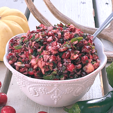 Cranberry Salsa